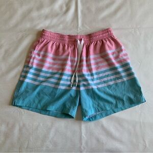 Chubbies Pink and Blue Striped Athletic Shorts